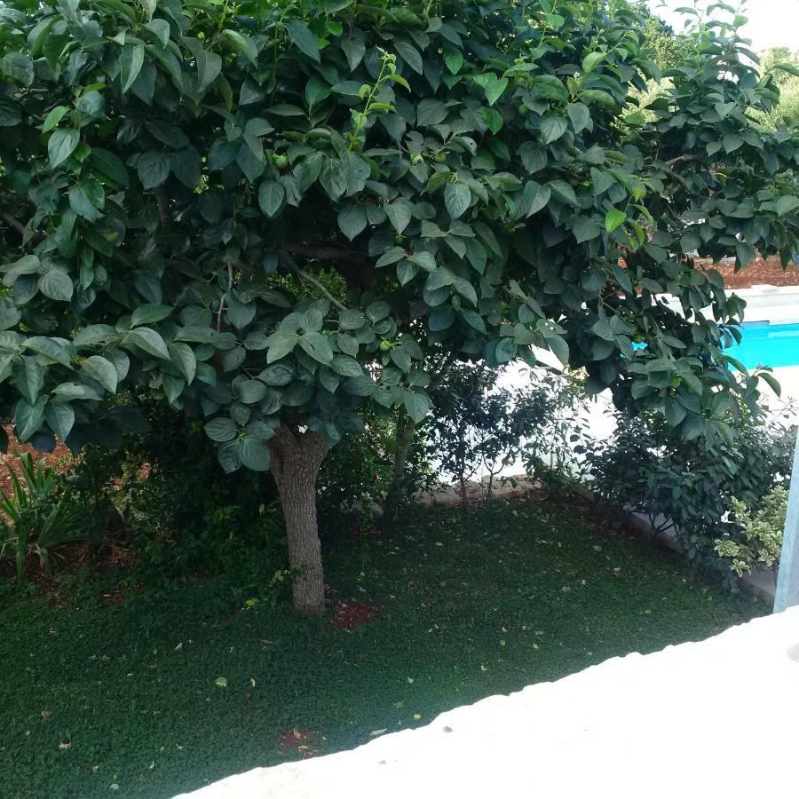 Pignare Apartment Локоротондо Екстериор снимка